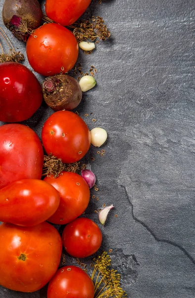 Siyah bir backgroun bir bahçe yatağından kırmızı domates