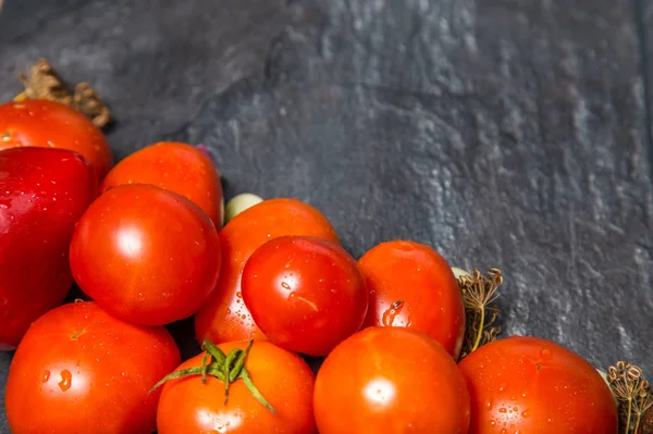 Tomates vermelhos de uma cama de jardim em um backgroun preto — Fotografia de Stock
