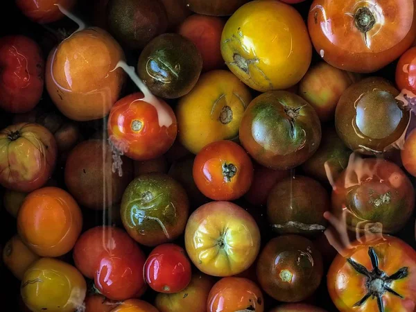 Kleurrijke Tomaten Achtergrond Voedsel Foto — Stockfoto