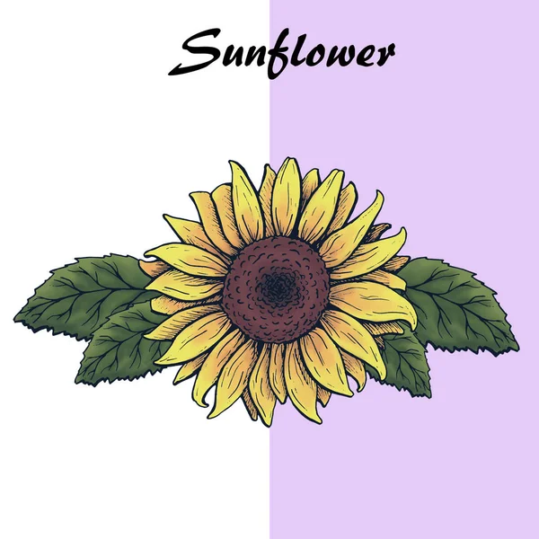 yaprakları, grafik, arka plan ile ayçiçeği çiçek