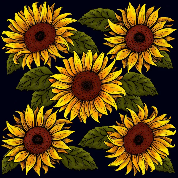 koyu arka plan, desen üzerinde yaprakları ile ayçiçeği çiçeği