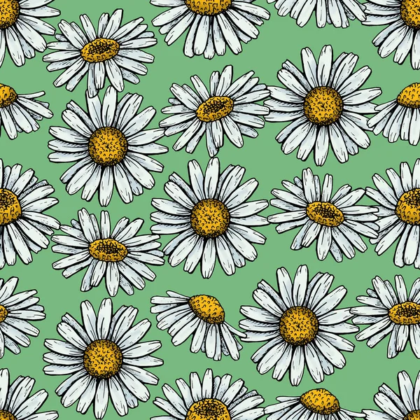 chamomiles seti, sorunsuz desen, grafik