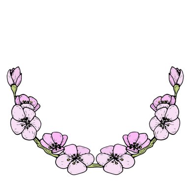 kiraz çiçekleri, grafik kroki