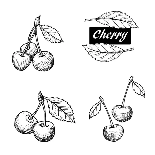 kiraz kroki, kiraz seti, grafik