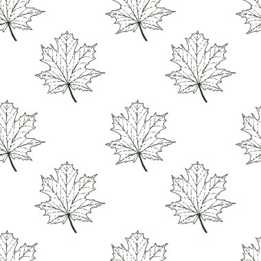 Akçaağaç yaprakları ile dikişsiz desen. Grafik çizim stili.
