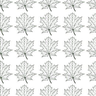 Akçaağaç yaprakları ile dikişsiz desen. Grafik çizim stili.
