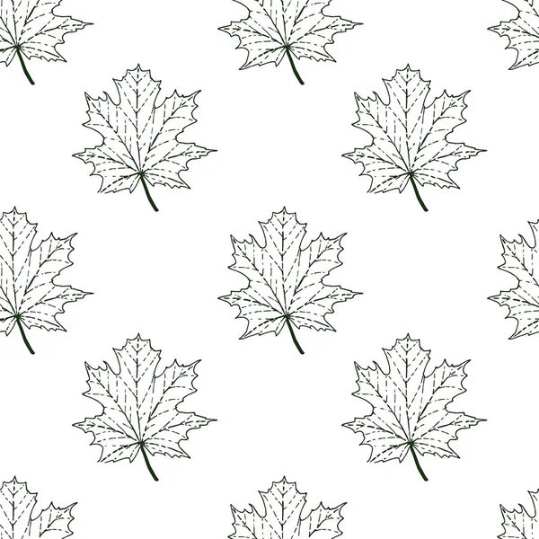 Akçaağaç yaprakları ile dikişsiz desen. Grafik çizim stili.