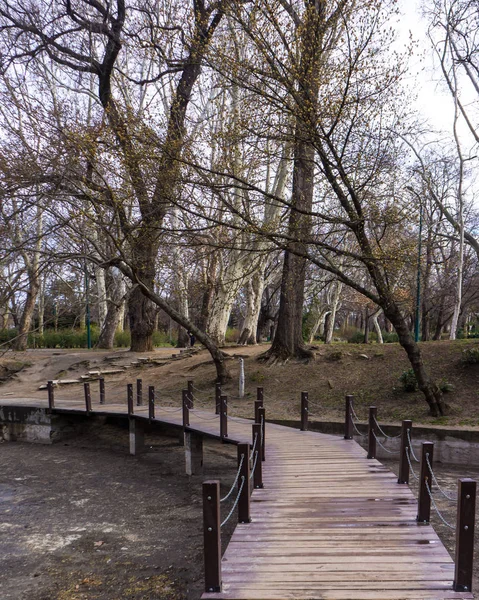Pequeño puente sobre el río en el bosque en vajdahunyad budapest — Foto de Stock