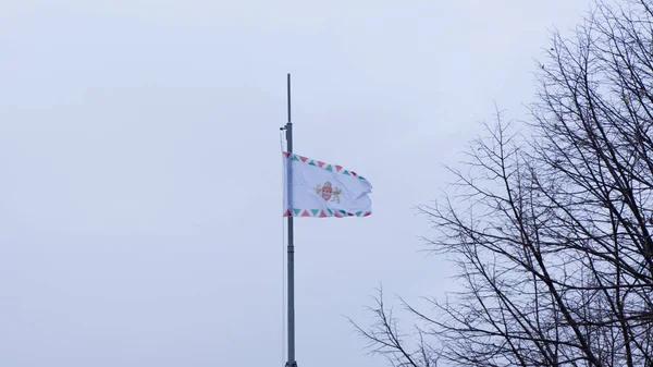 Budapeşte Macaristan 03 15 2019 Budapeşte şehrinin arması ve bayrağı rüzgarda uçuyor