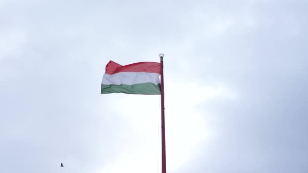 Uma Bandeira Húngara Acenando Vento — Vídeo de Stock