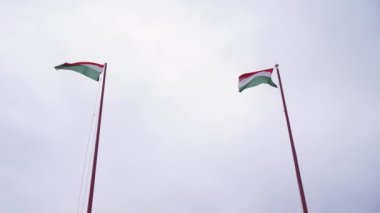 rüzgarda sallayarak bir Macar bayrağı