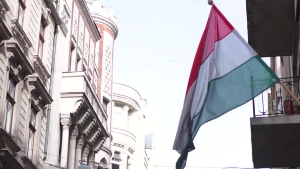 Eine ungarische Flagge weht im Wind — Stockvideo