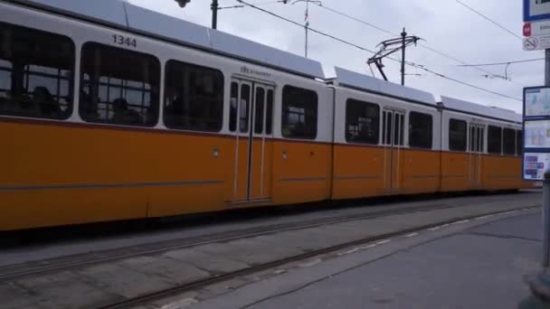 A tram passes before the Chain Bridge in Budapest — Stock Video