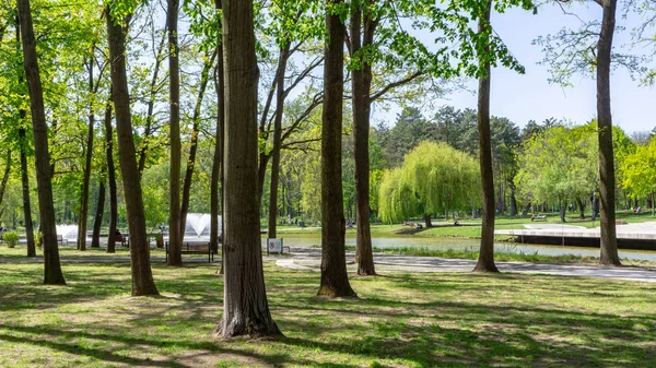 Debrecen Hungary 04 19 2019 turistler ve yerliler Debrecens Great Forest Park'ta iyi vakit ler din