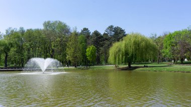 Debrecen Hungary 04 19 2019 turistler ve yerliler Debrecens Great Forest Park'ta iyi vakit ler din