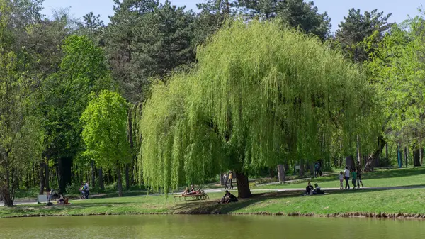 Debrecen Hungary 04 19 2019 turistler ve yerliler Debrecens Great Forest Park'ta iyi vakit ler din