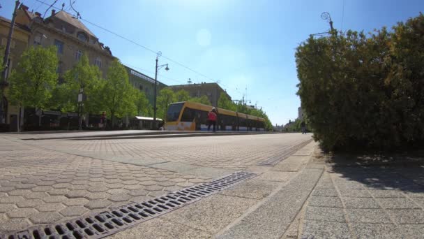 Debrecen Ungheria 04 19 2019 tram 2 arriva alla fermata di Debrecen — Video Stock