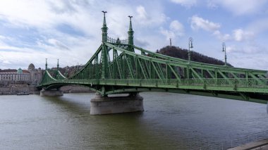 Budapeşte Macaristan 03 16 2019 turistler ve yerliler Budapeşte Özgürlük Köprüsü çapraz