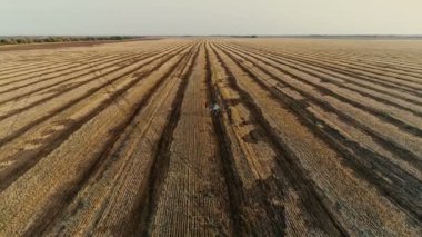 Bir çift genç ve aşık, hayattan zevk, öp ve aracılığıyla kesilmiş buğday sarı alanıyla çalışırken, okşamak