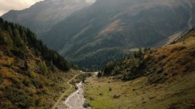 Güneş ışınlarının büyüleyici dağlar yeşil ve güçlü ağaçlarıyla dolu İsviçre'nin büyük ve temiz doruklarına aydınlatmak.