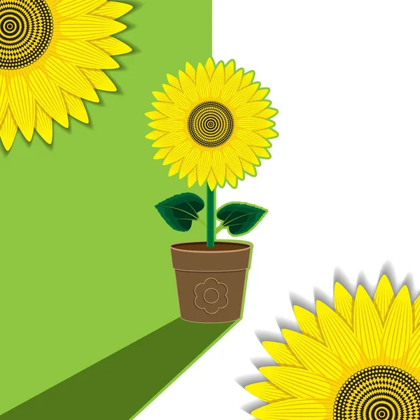 Green-white plant background flower sunflower potted. Background, banner, label, cover. Vector image.