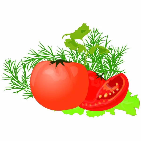 Tomates Com Verdes Endro Salsa Alface Ilustração — Vetor de Stock