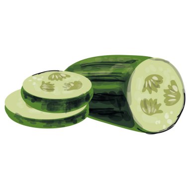 Salatalık. Çizim. Bahçeden bir yiyecek..