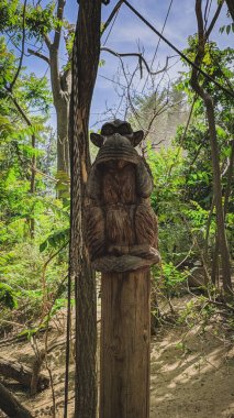 Kapalı ağız ile maymun