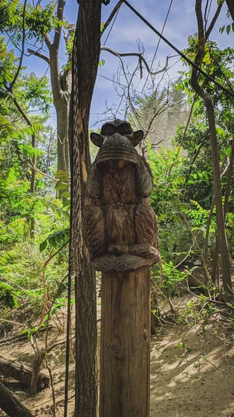 Kapalı ağız ile maymun