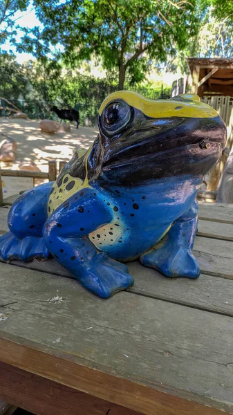 Estatua de una rana en colores — Foto de Stock