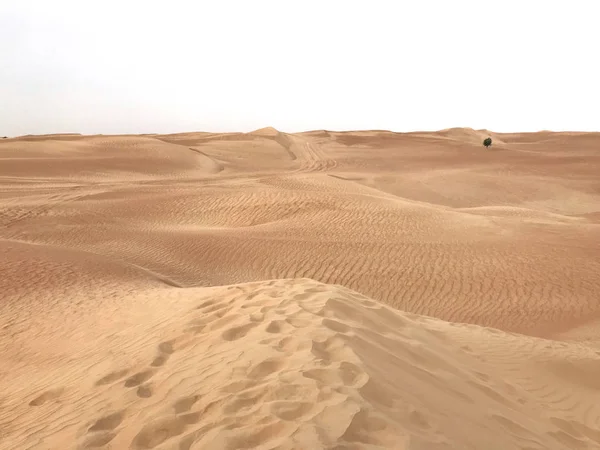 Pustynia Chali Zjednoczone Emiraty Arabskie Dubai — Zdjęcie stockowe