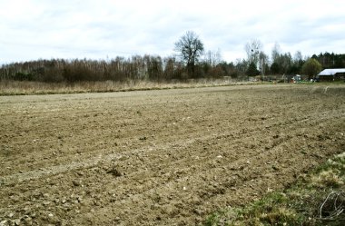 Alan görünümünü. Polonya kırsal.                               