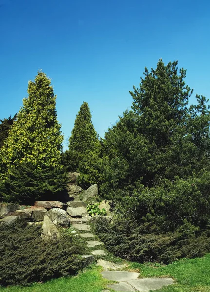 Una Strada Pietra Verso Cima Tra Una Vegetazione Lussureggiante — Foto Stock