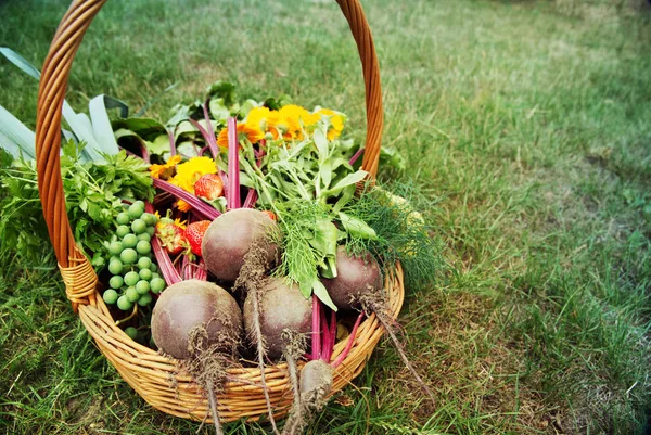 Basket with vegetables, fruit and flowers on the grass.