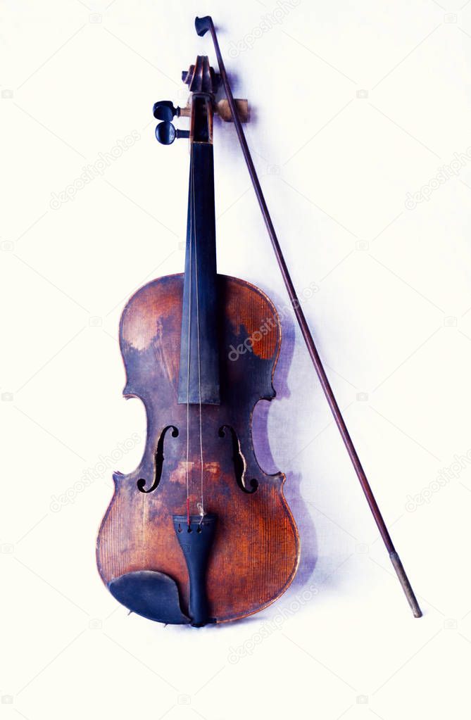 Violin isolated on white background.