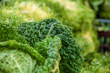 Yeşil karnabahar yaprak ayrıntılarını