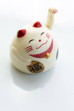Beyaz arka planda izole Fortune kedi