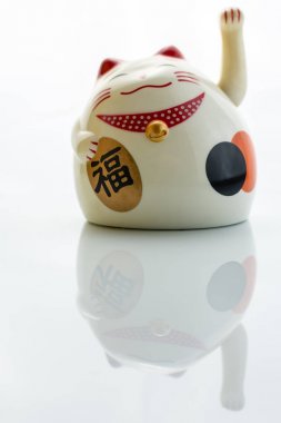 Beyaz arka planda izole Fortune kedi