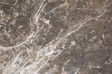 Kıyı deniz taştan bir duvar parçası. Bir soyut, süslü desen taşla pürüzsüz yüzey. 