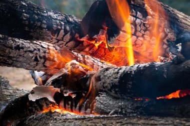 Yanan ateş günlüklerinde görüntüsü. Alev yanan ateş.