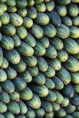 Arka plan, bir sürü yeşil salatalık düz birbirlerine yalan
