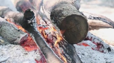 Video ateş yanan odun durma sırasında.