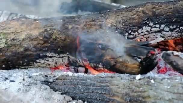 Video Vuur Brandende Brandhout Tijdens Stilstand — Stockvideo