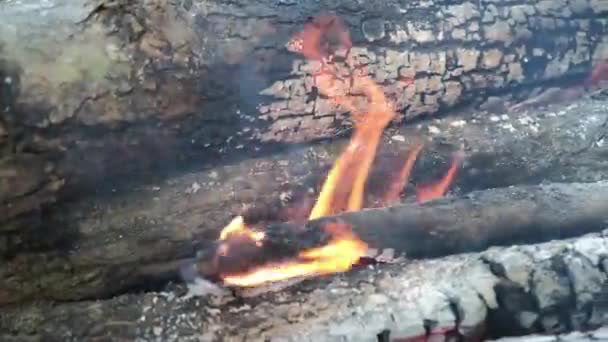 Vídeo Fogo Queimando Lenha Durante Uma Parada — Vídeo de Stock