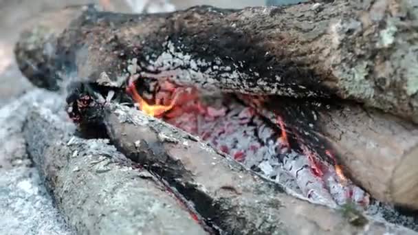 Video Vuur Brandende Brandhout Tijdens Stilstand — Stockvideo