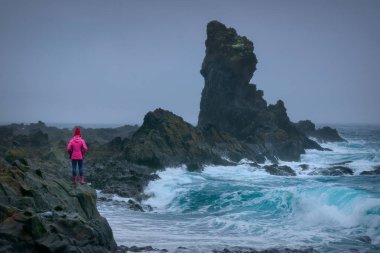 Bazalt kayalar Snaefellsnes Pi Djupalonssandur siyah plajda
