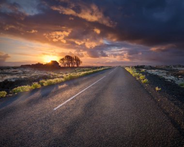 Gün batımında south Iceland'deki / daki boş yol