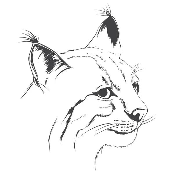 vaşak kedi çizim dövme siyah beyaz