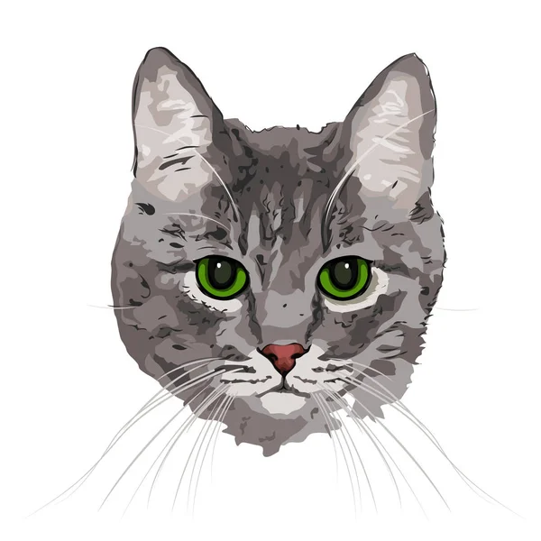 kedi çizim baş bıyık