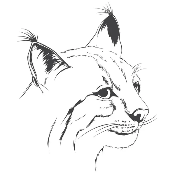 vaşak kedi çizim dövme siyah beyaz